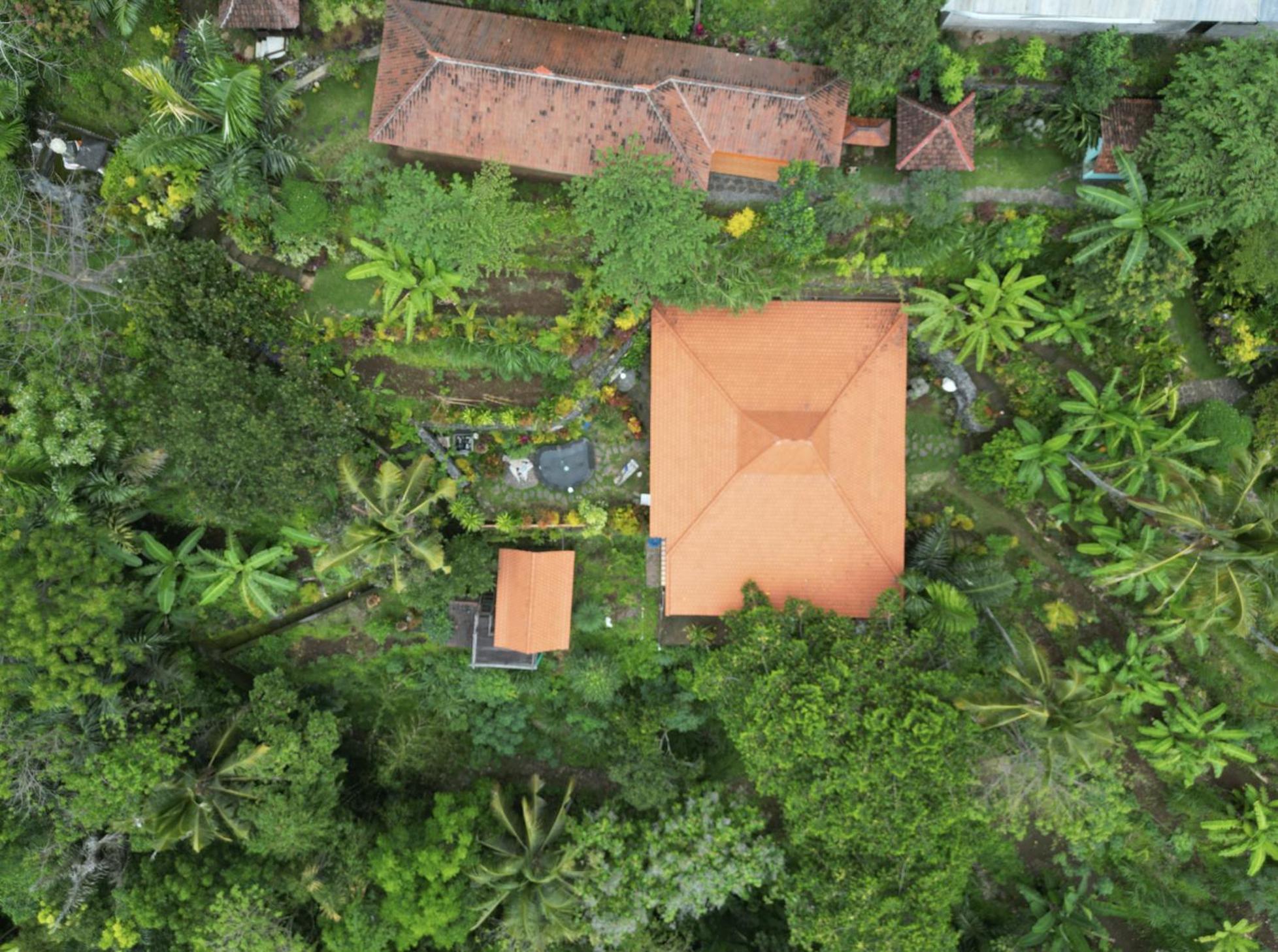 Villa Kepuh Singaraja Exteriör bild